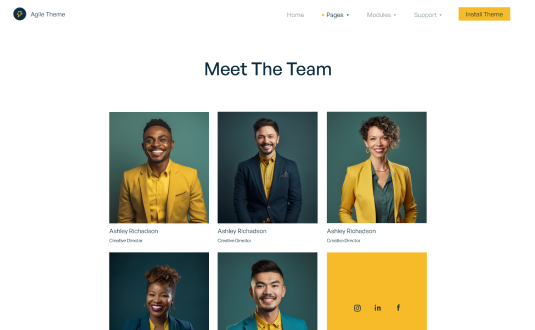 Team V1