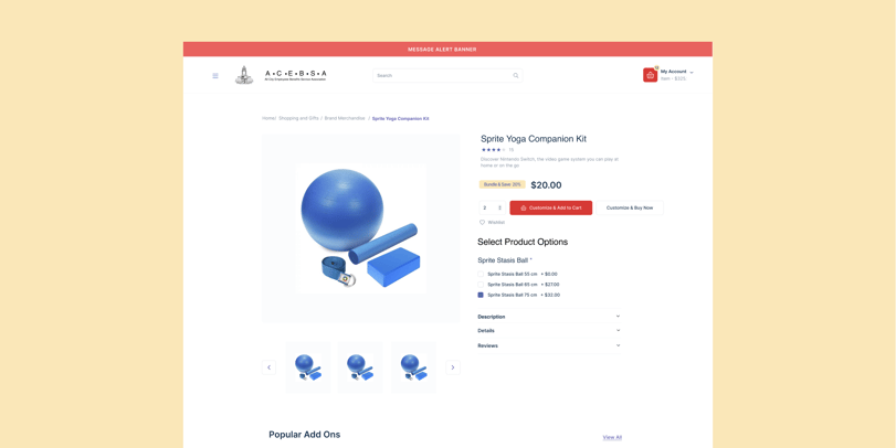 custom website design