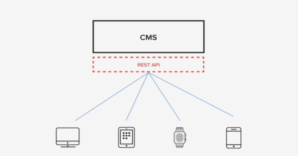Graphic showing how the WordPress CMS works with the Rest API to deliver content to devices