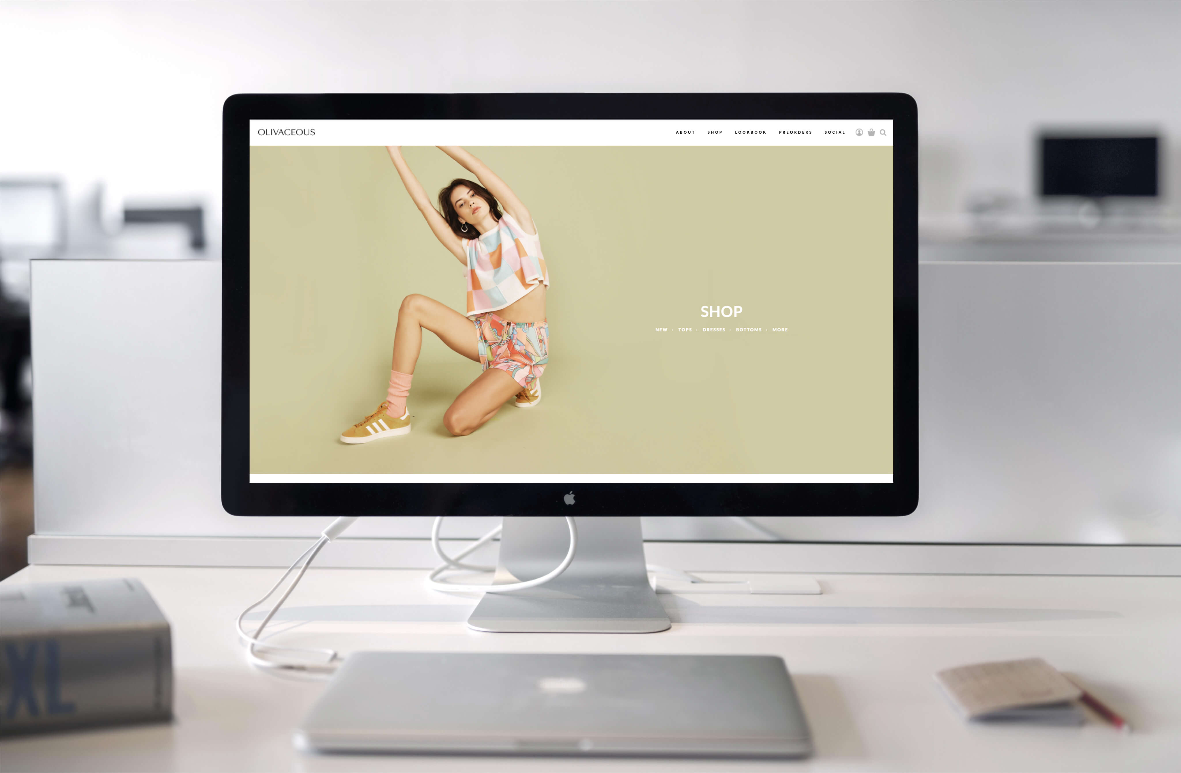 web development