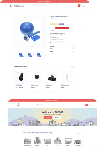 custom_development_img
