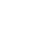 Vector (10)