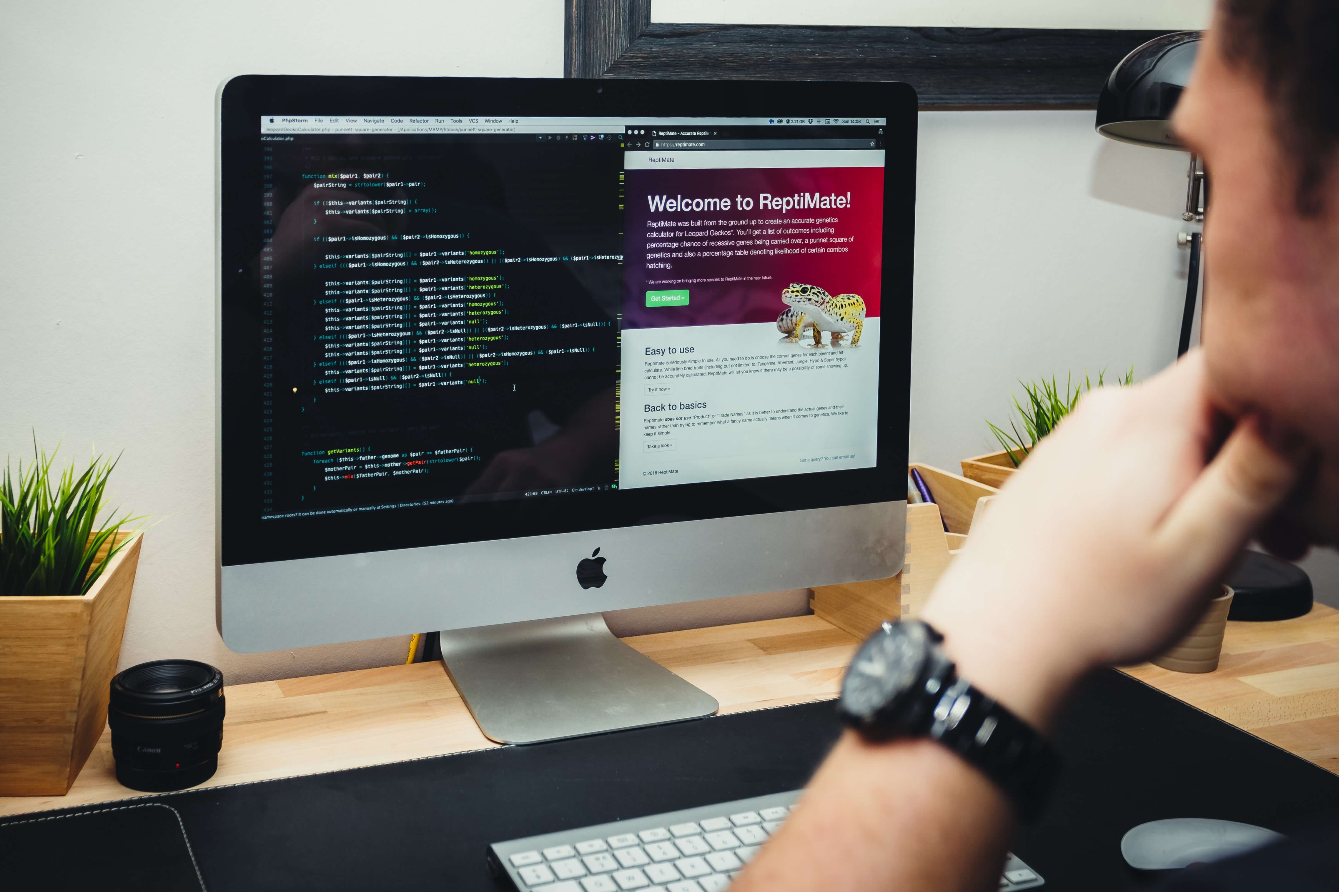 api development services