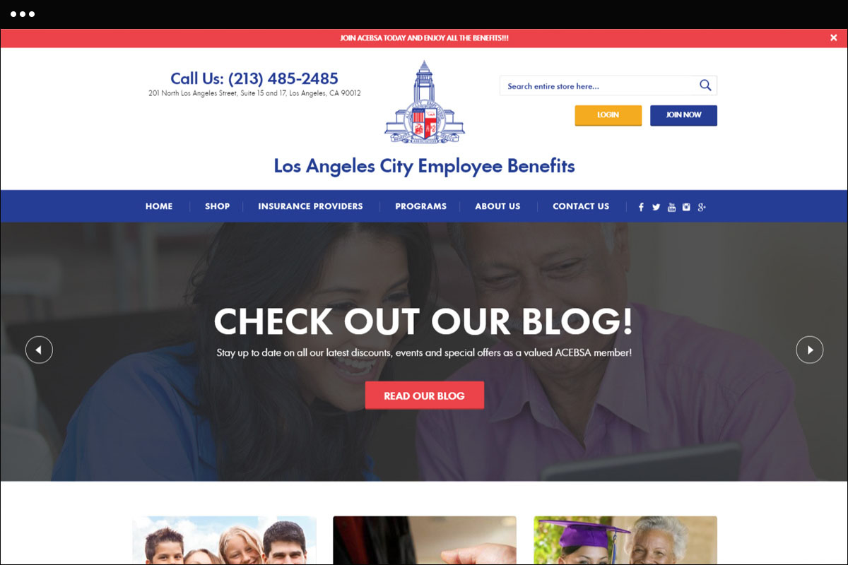 ACEBSA Homepage Design